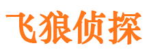 桐城市调查公司